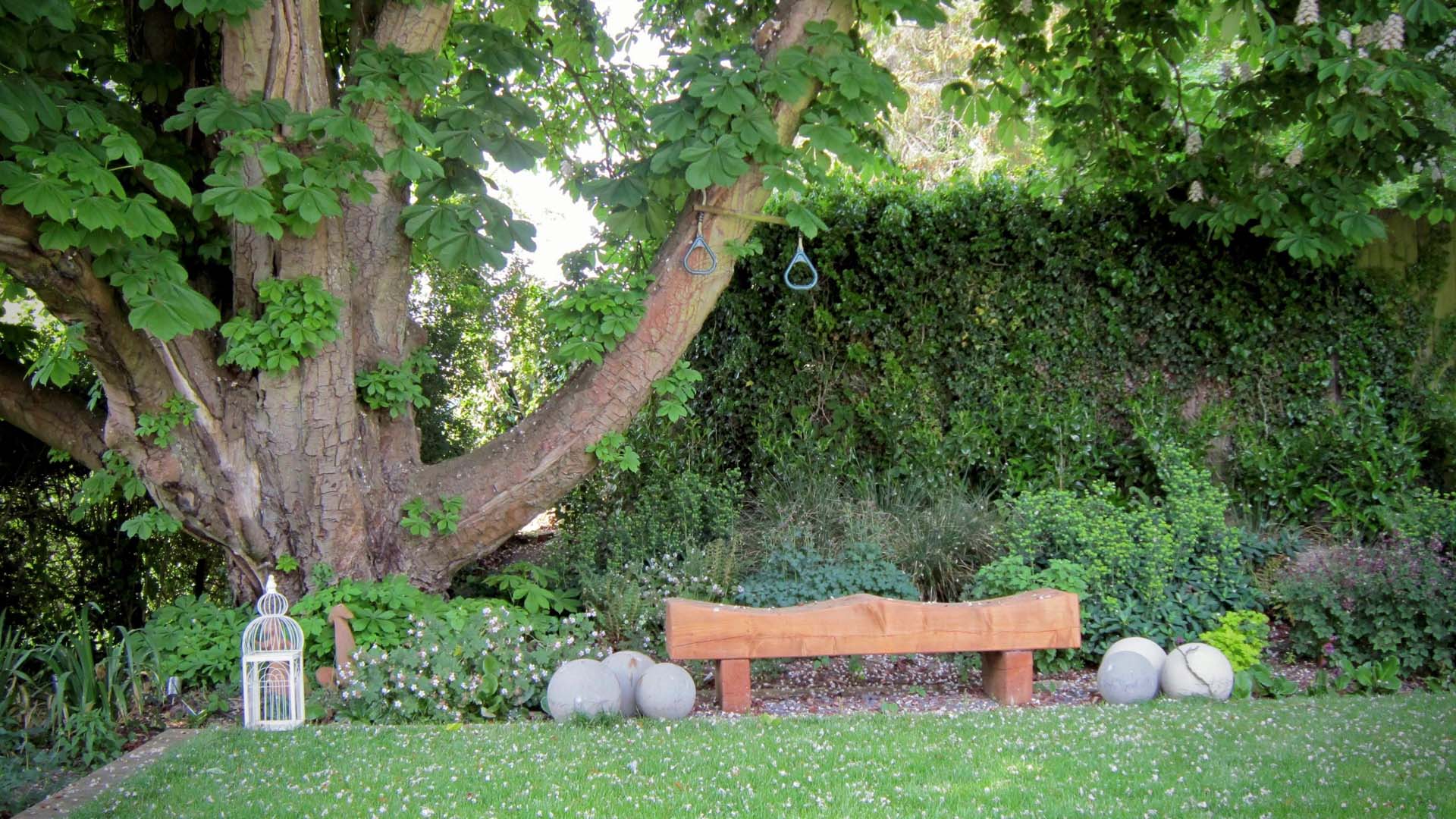 bench under a tree for a spot to sit 