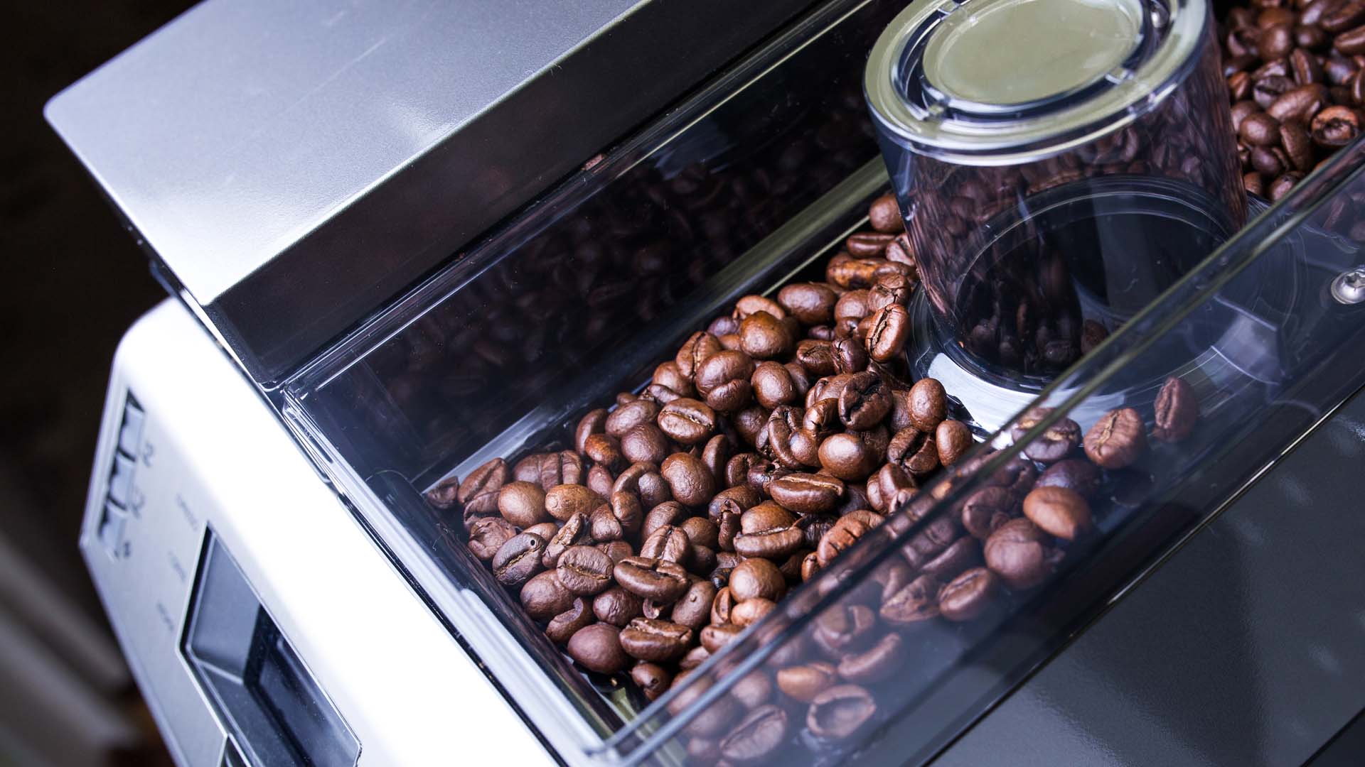 Coffee beans in the hopper of a coffee machine