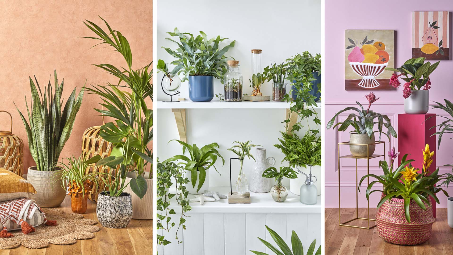 Three different designs with multiple styles of pots and a variety of shapes and sizes in front of a white, salmon and pink background