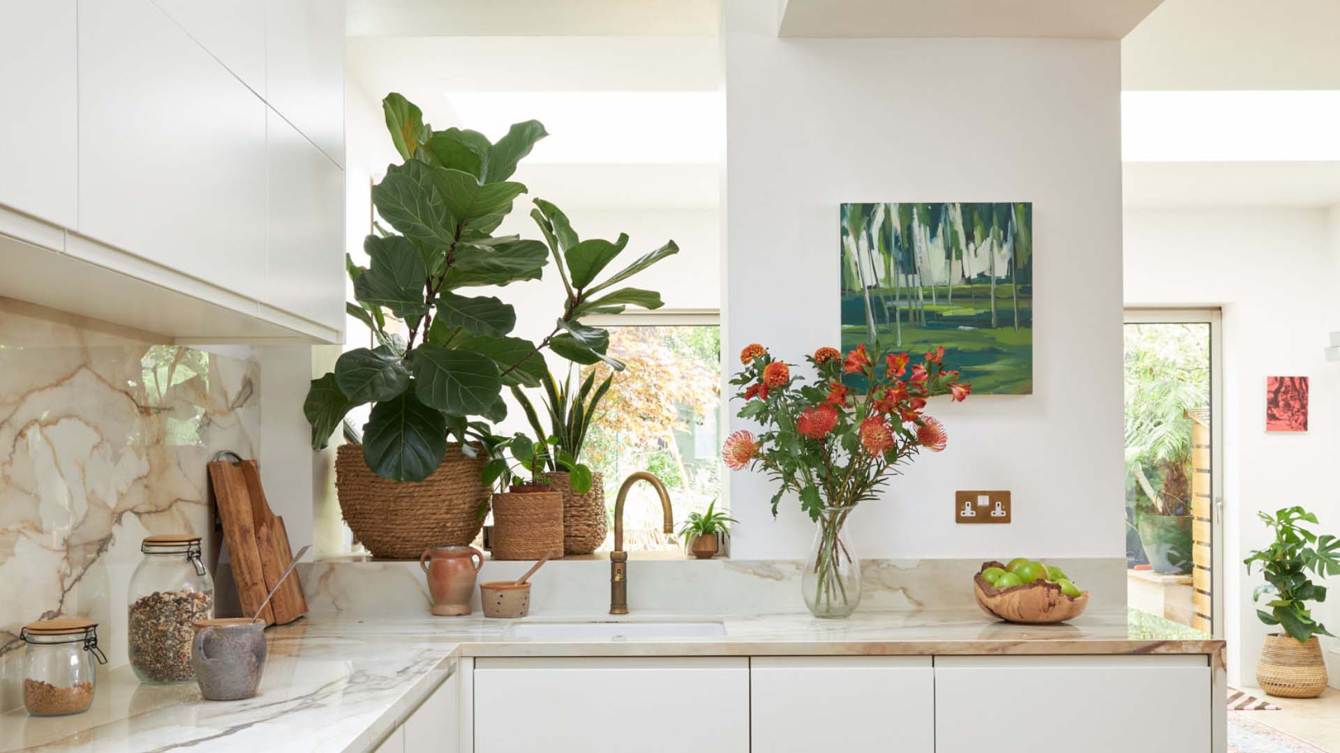 Flowers and plants in kitchen