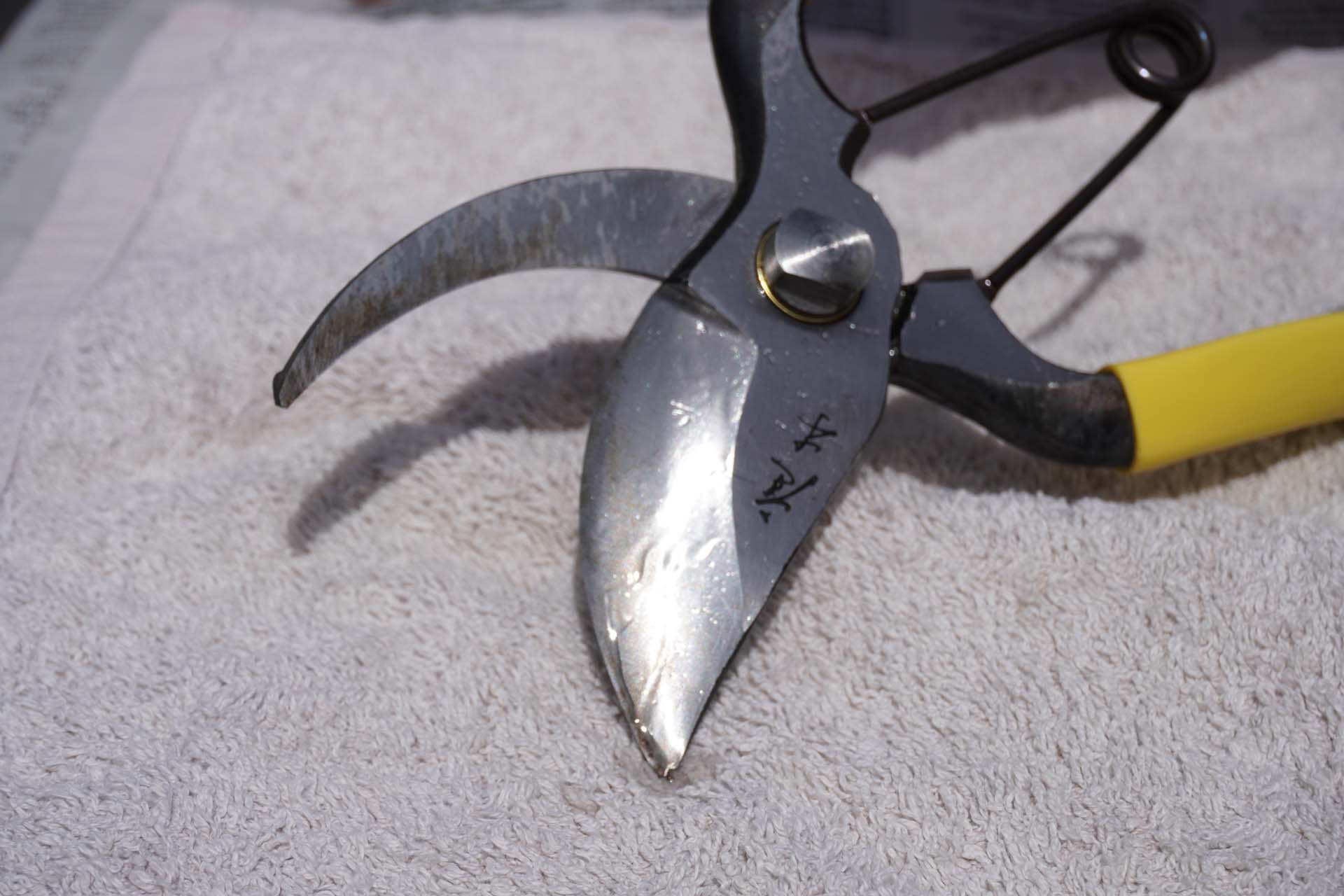 A clean pair of secateurs