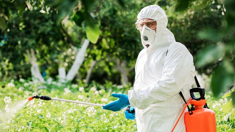 a man in a white hazard suit spraying a garden with chemicals