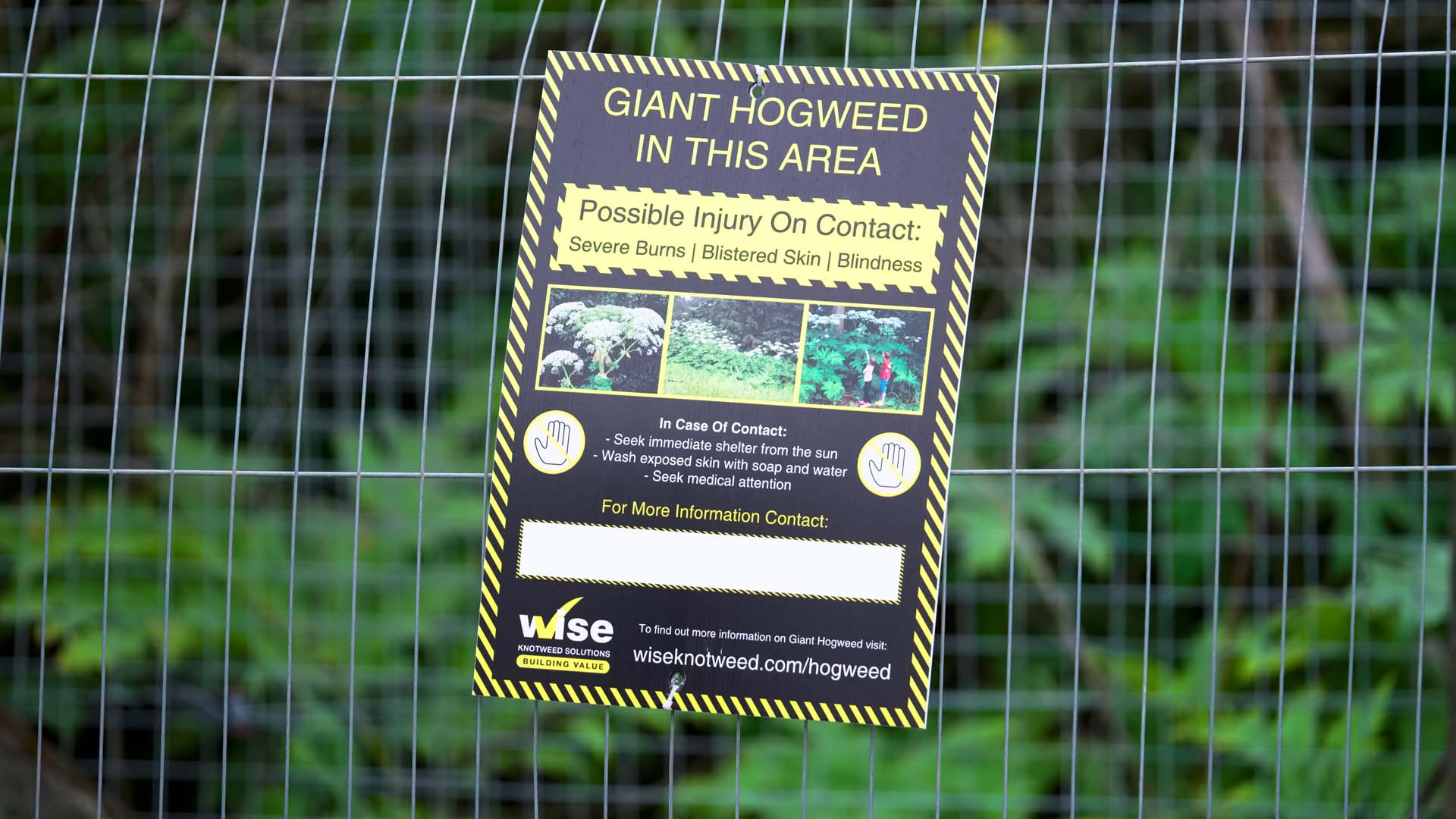a wire fence with a warning sign about giant hogweed on it