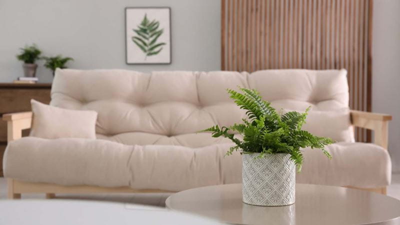 Beautiful potted fern in the living room table, in front of a large beige couch