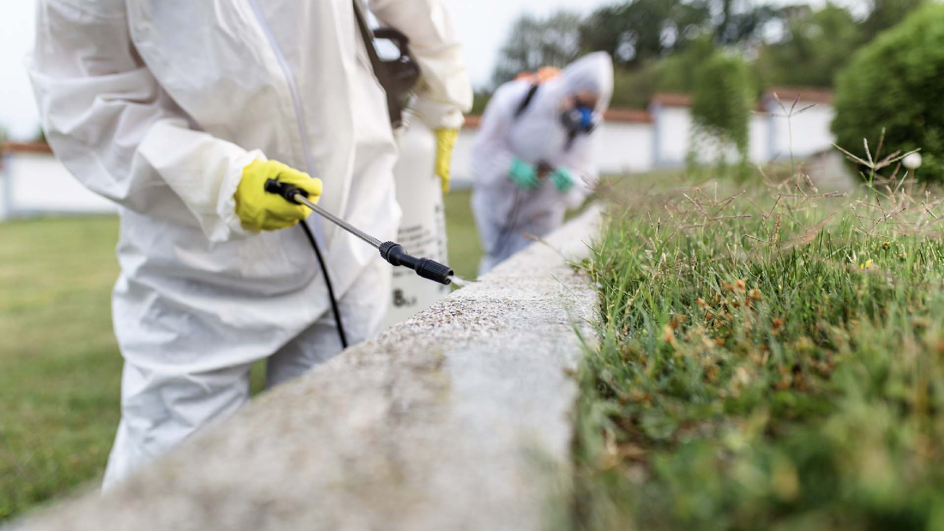A person in safety gear exterminating ants with chemicals