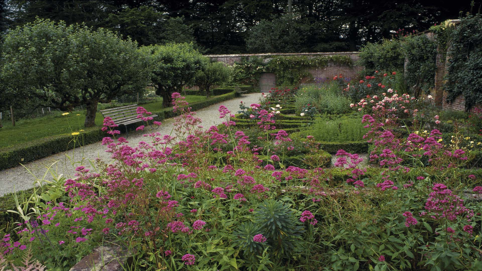 A wide flower border in the walled garden at National Trust Llanerchaeron