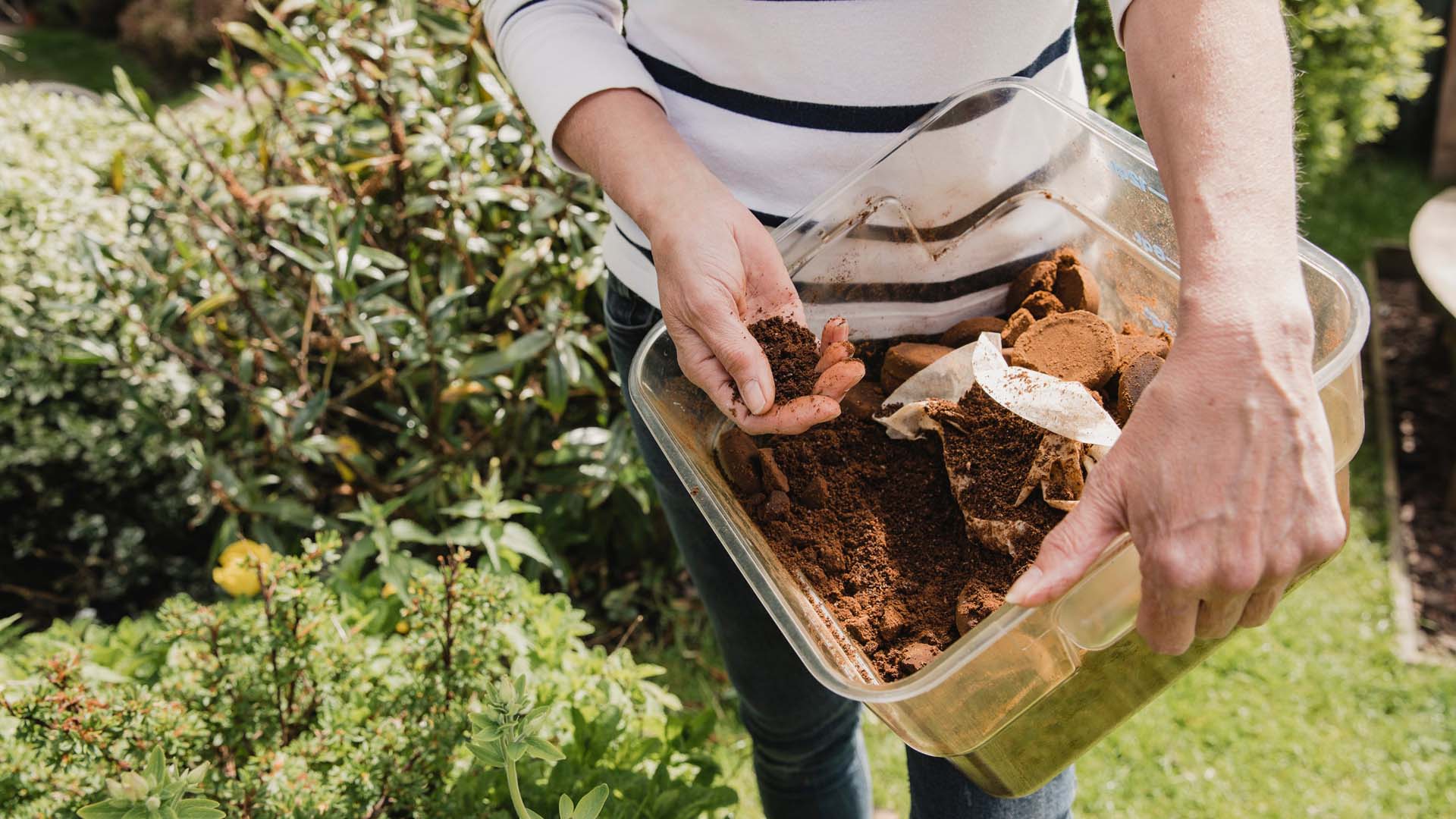 A woman in casual clothing holds a clear tub of used coffee grounds to use as compost in a garden