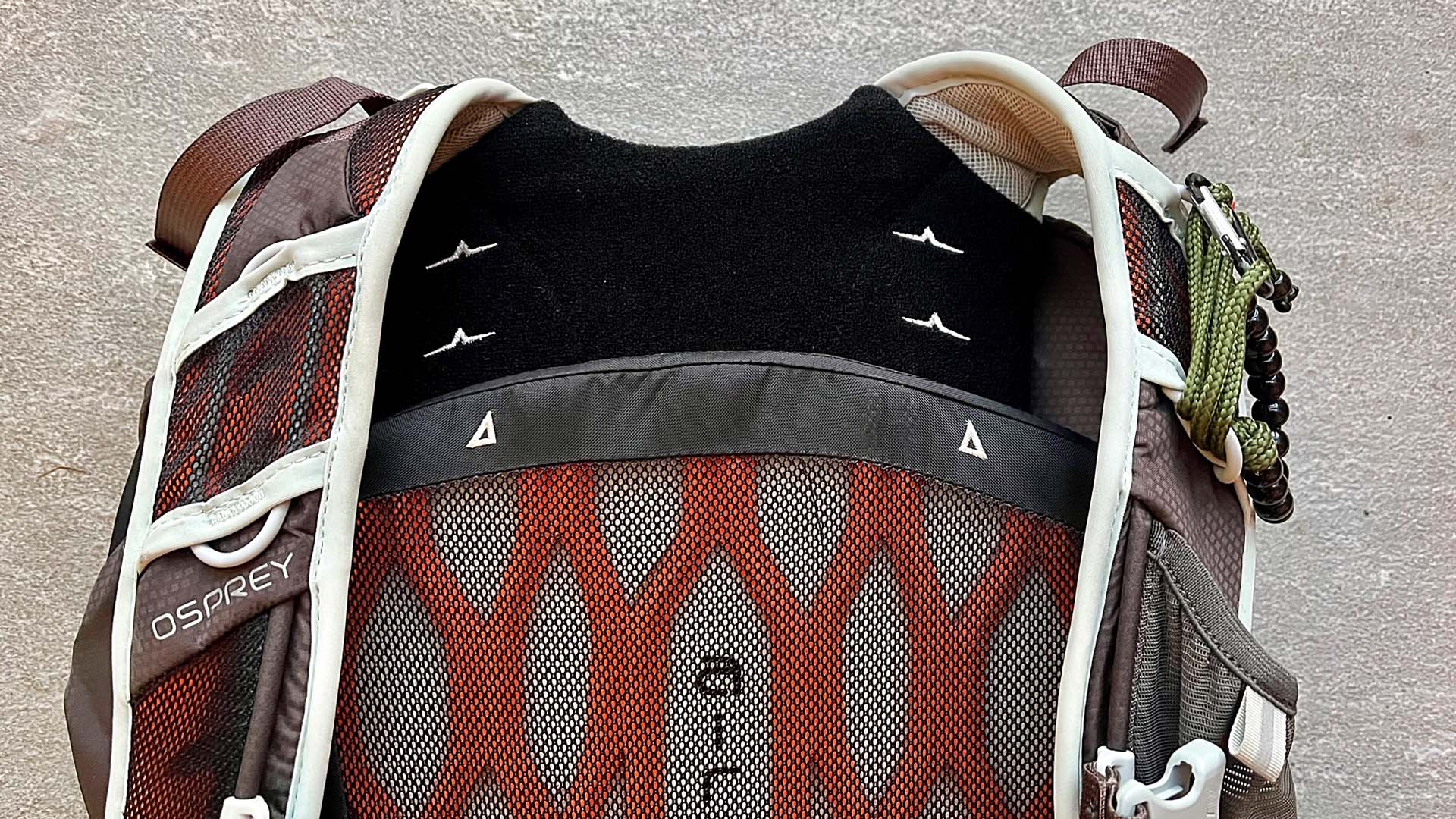 A backpack with straps clearly visible