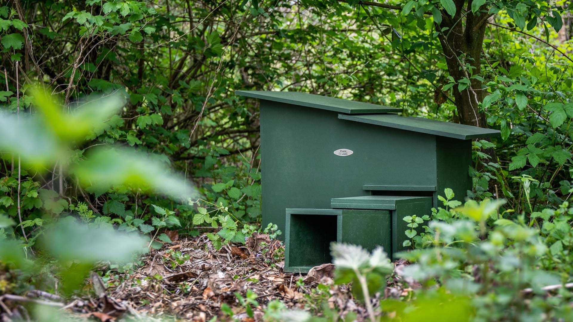 A hedgehog highway in an urban garden in London UK. The gap in the wooden fence is large enough to let wildlife, including hedgehogs and badgers, roam freely from garden to garden