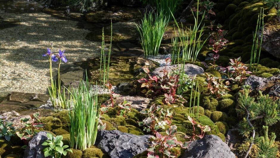 Part of the gravel path alongside a rockery garden, adorned with flowers and evergreen plants