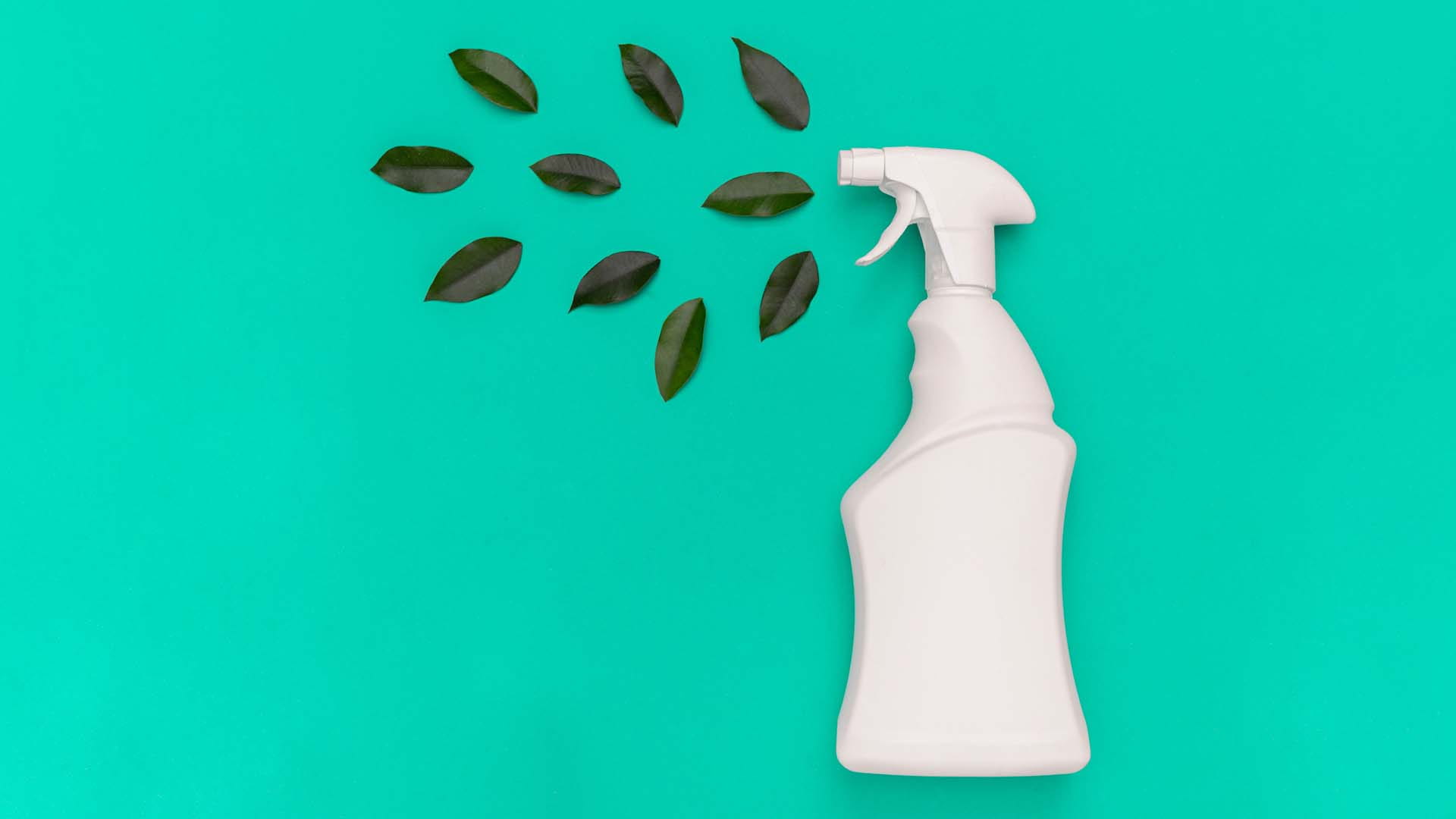 spray cleaner spraying leaves