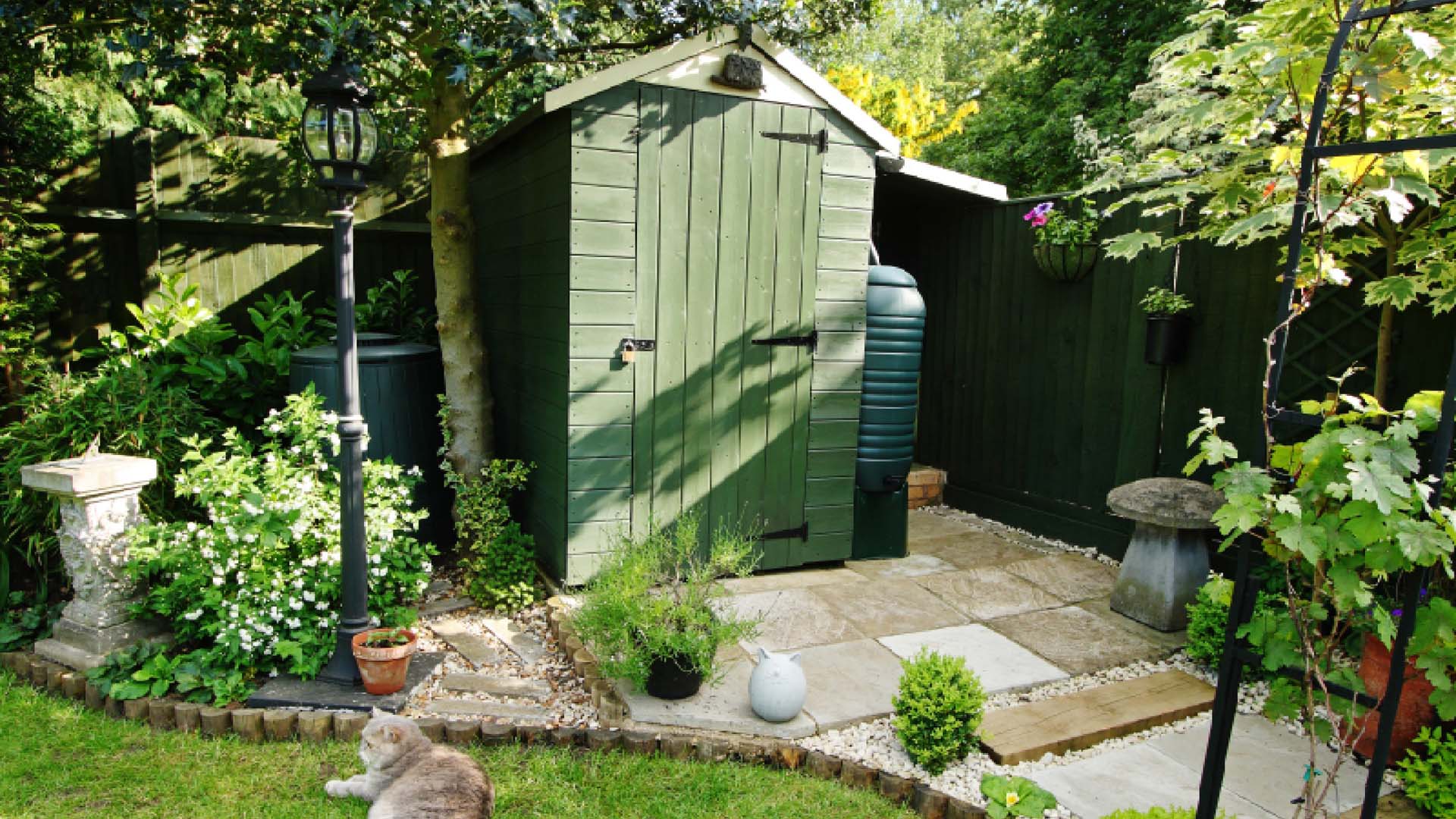 Green garden shed in the  back of a garden with cat sat on lawn