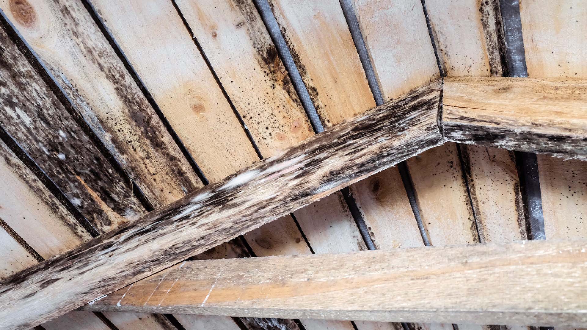 the inside of a loft space with the roof affected by water and rotting in a corner
