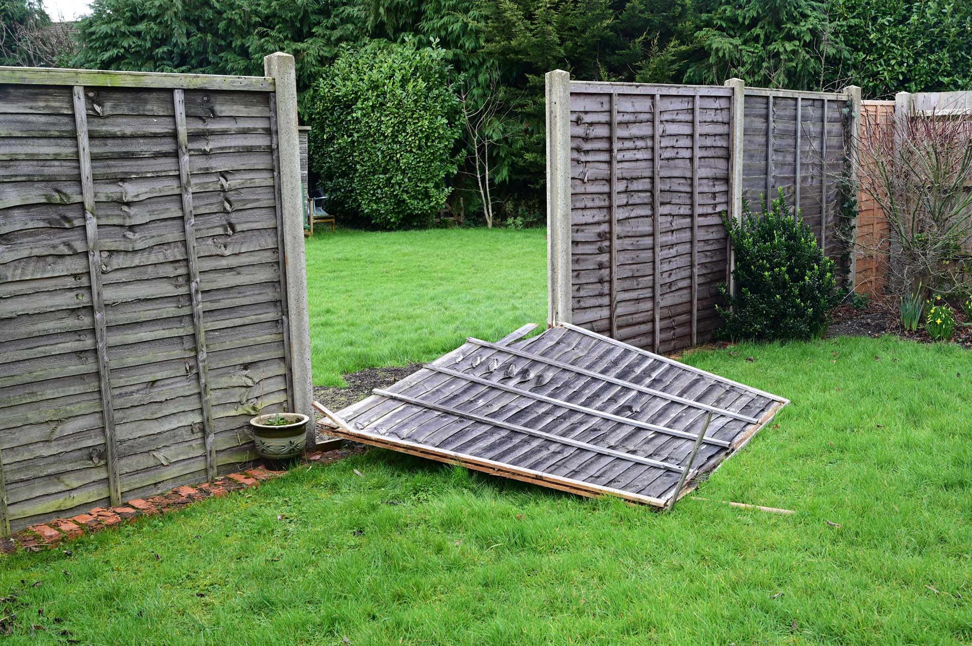 Garden fence panel fallen down in the storm