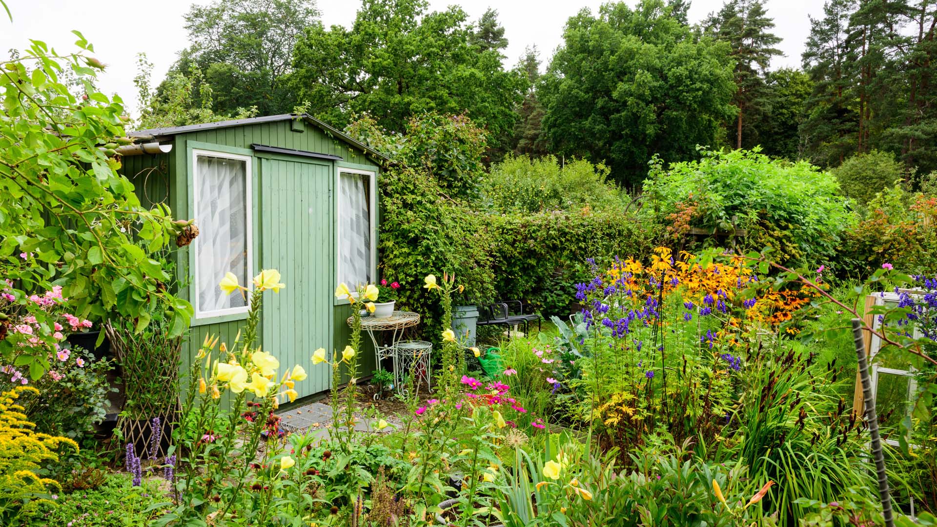 A garden office in a garden full of plants