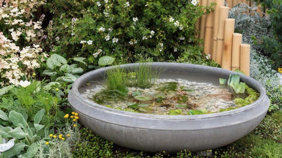 Round water bowl at a low level and line with pebbles and aquatic plants such as oxygenating waterweed (Elodea canadensis), aquatic fern (Equisetum scirpoides), water lettuce (Pistia stratiotes), water lily (Pygmaea alba) and floating aquatic fern (Salvinia natans)