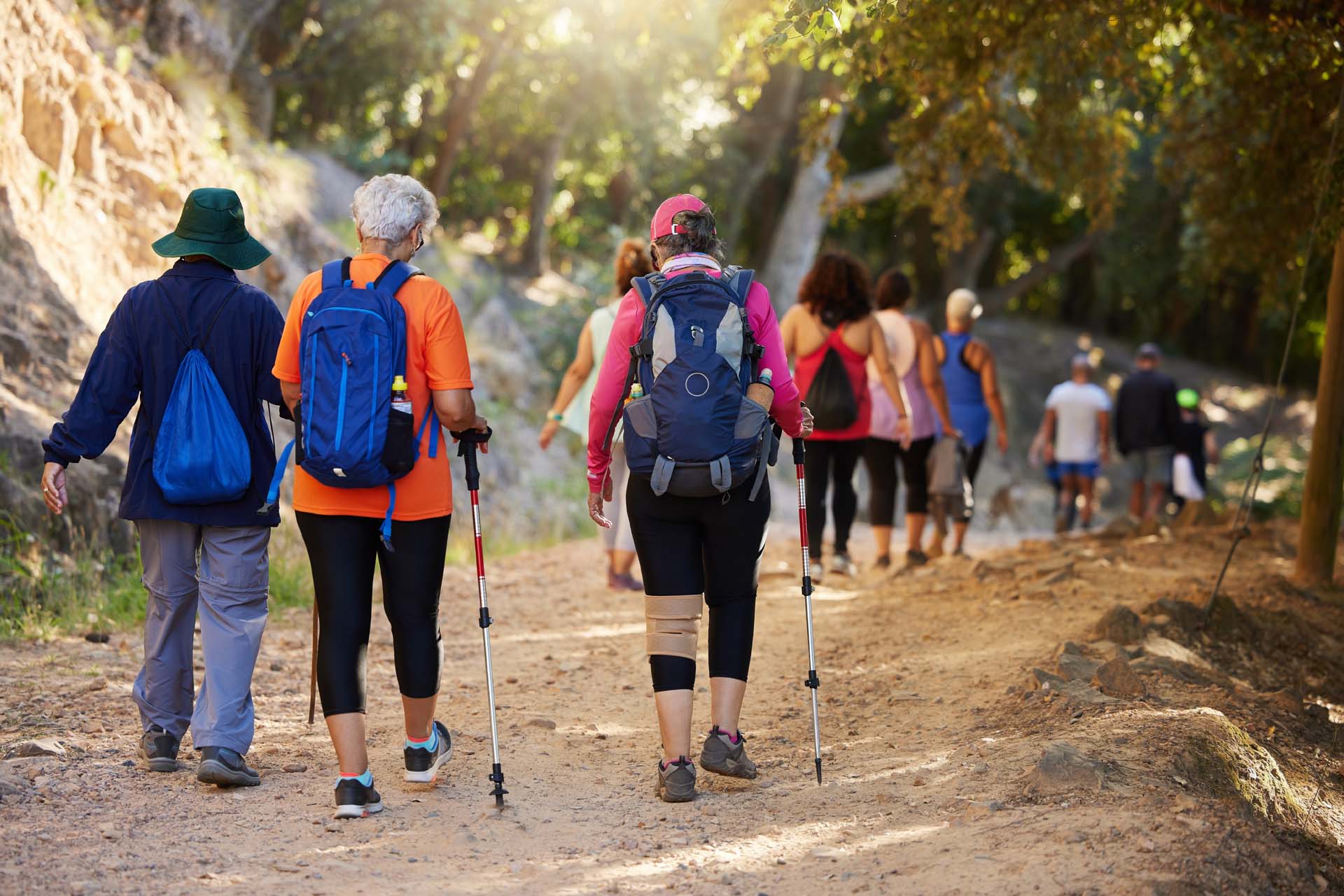 A walking group heading down a dirt path away from the camera