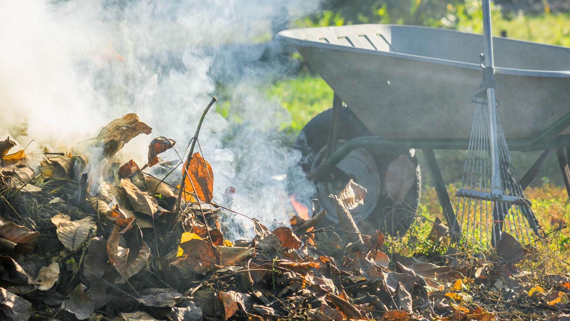 Wheelbarrow and rake near a bonfire