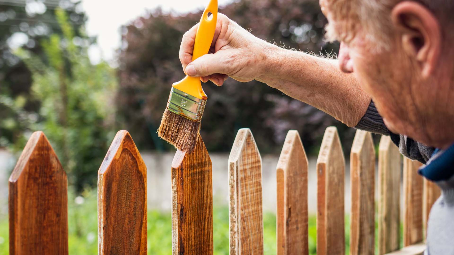 Man varnishing a wood fence