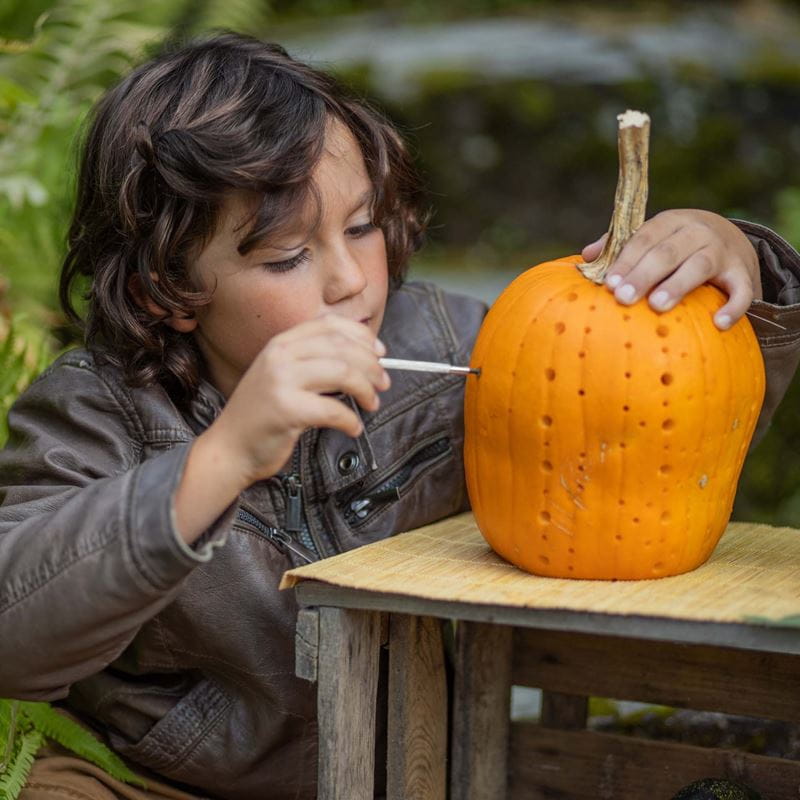 Young boy making decorative holes in pumpkin with screwdriver