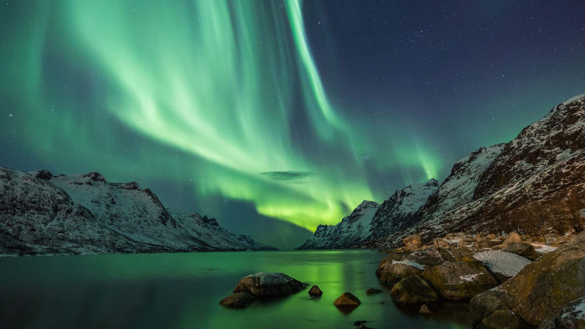 Northern Lights shine in the sky above the water's edge