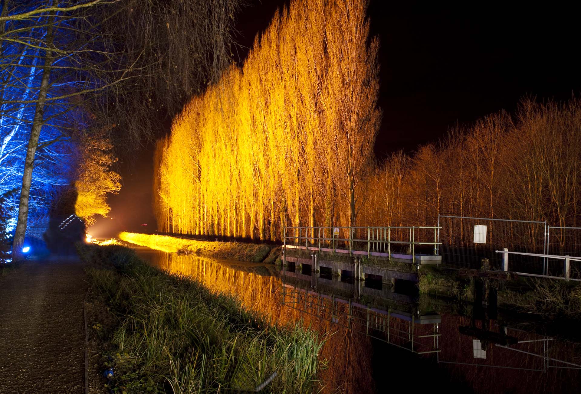 Winter lights can make for a great wintery walk