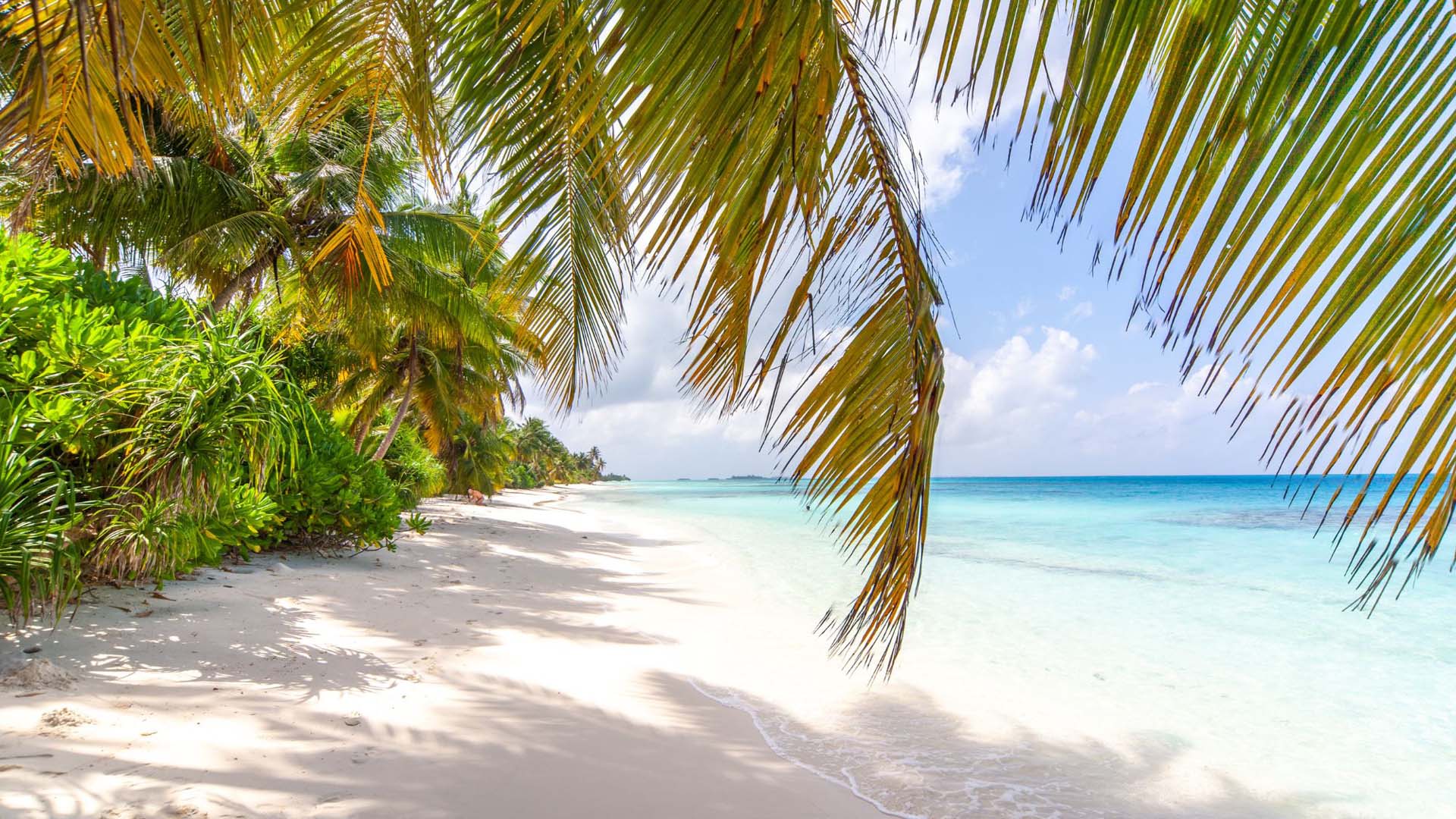 The amazing long white sand beach of Dhigurah, Maldives
