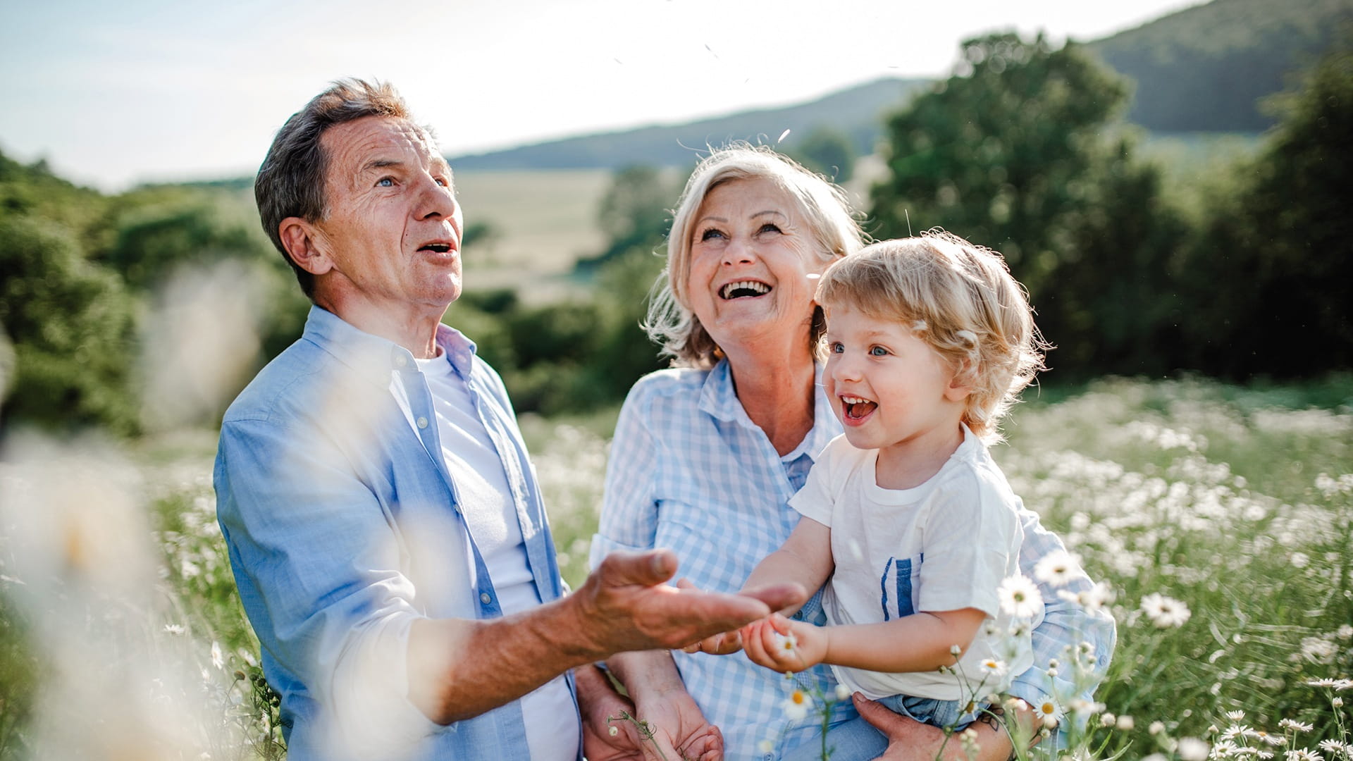 Grandparents sitting in a sunny meadow with a young child, smiling and looking up together.