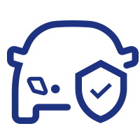 car insurance icon
