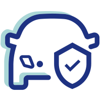 car insurance icon