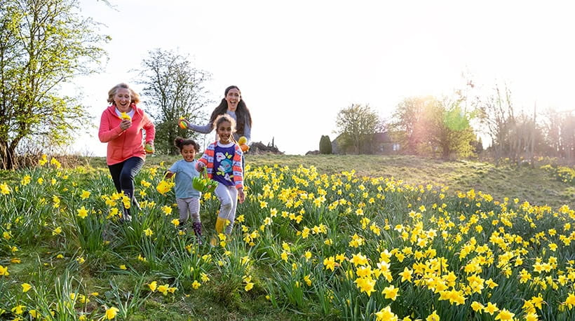 A senior woman runs through a field of daffodils with her grandchildren
