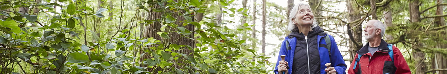 Senior couple hiking along a trail in a forest 