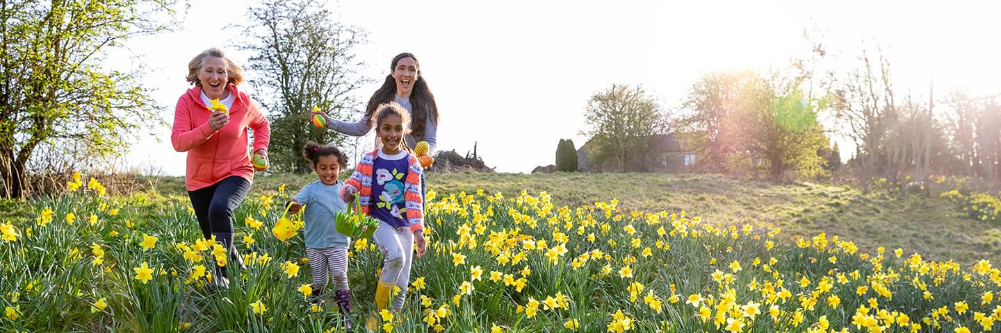 A senior woman runs through a field of daffodils with her grandchildren