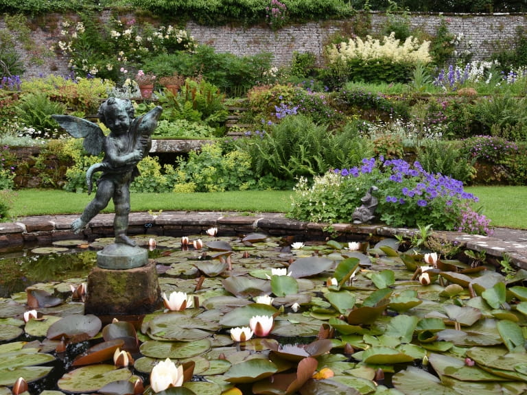 A sunken pond full of waterlilies and a stone cherub statue in the garden at National Trust Acorn Bank, Cumbria