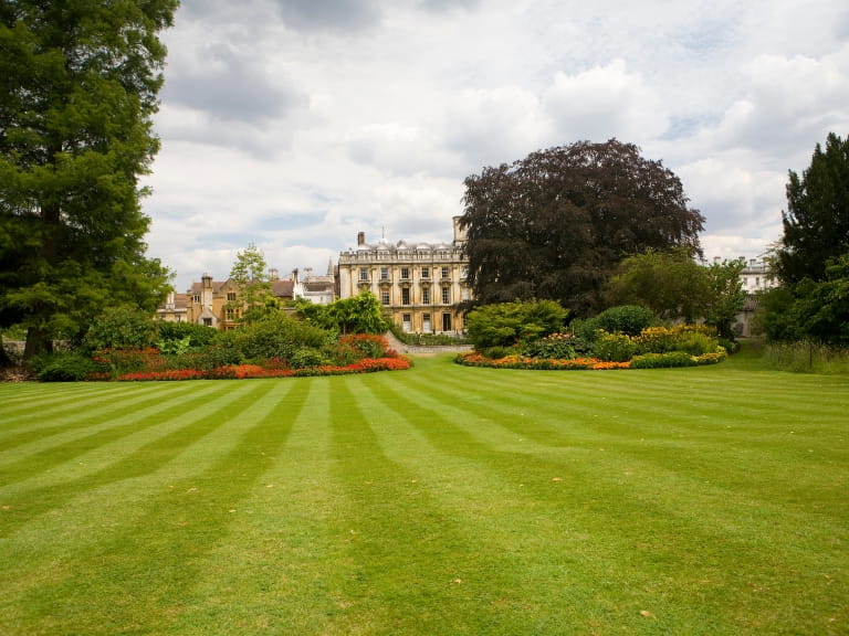 A striped lawn in the garden of Clare College, University of Cambridge, with the old college building visible between trees