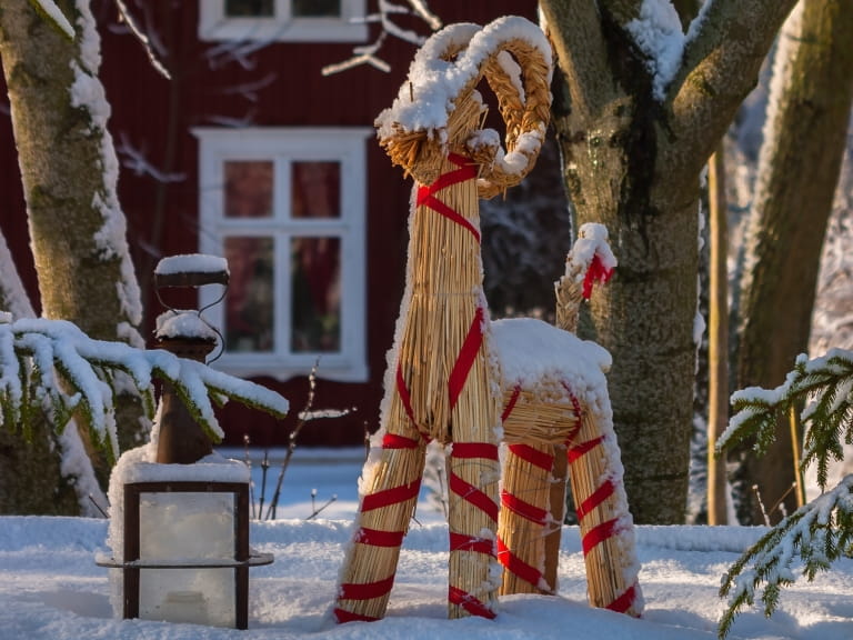 A straw Yule Goat wrapped in ribbons in a snowy garden