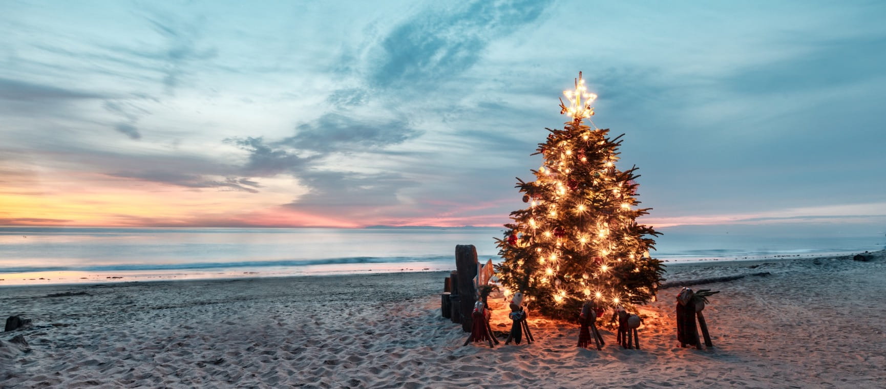 a brightly lit christmas tree on a beach at sunset