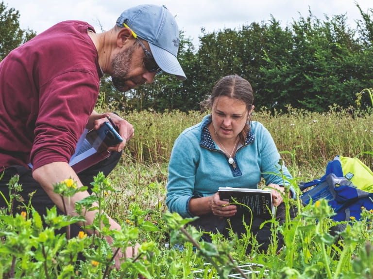 Two volunteers outdoors creating habitats for turtle doves