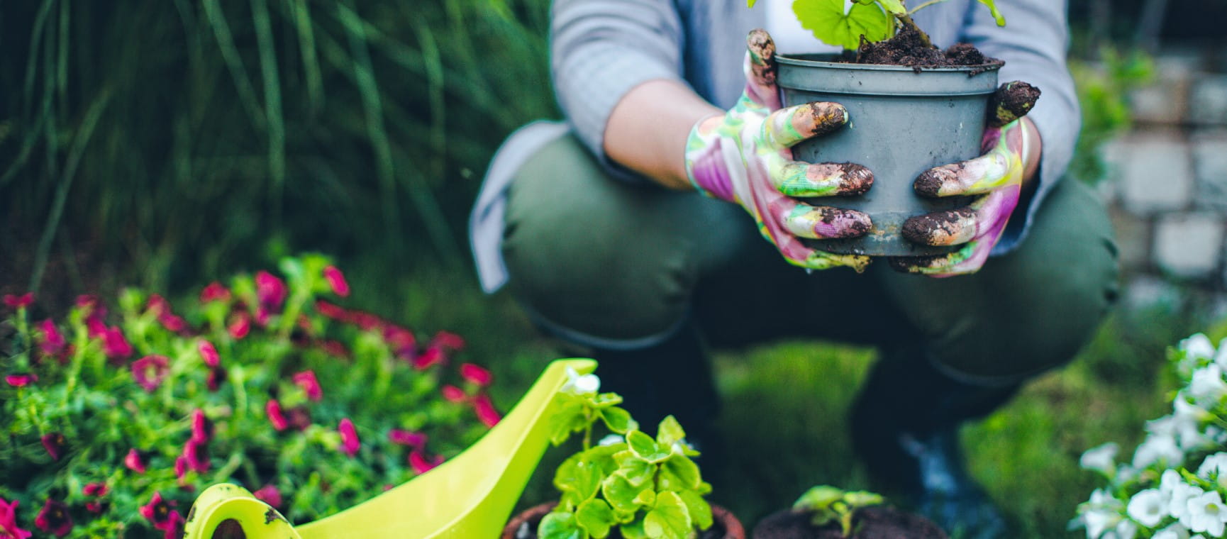 A gardener holding a plant in a pot