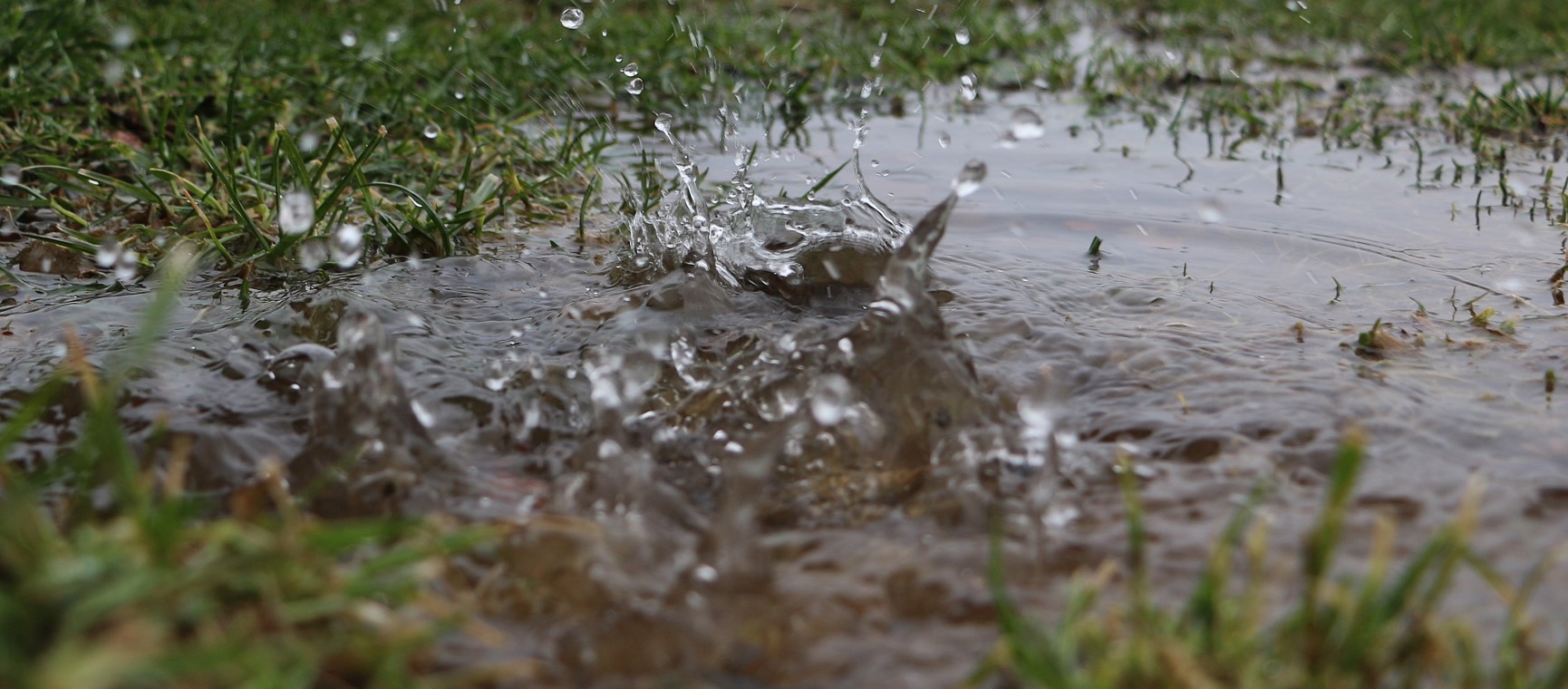 Rain falling on a puddle on a waterlogged lawn | Getty/BiancaGrueneberg