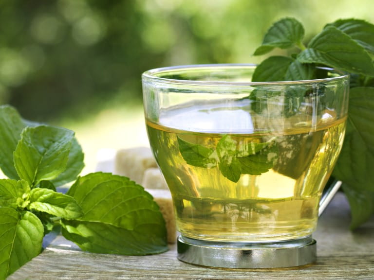 Mint tea with mint leaves | Getty/mythja
