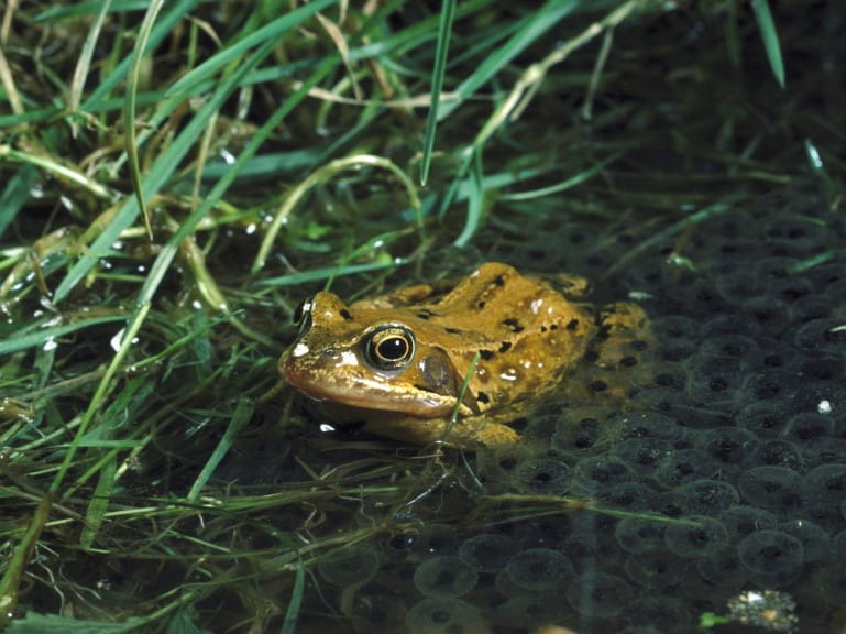 A pretty balcony with comfy chairs and coffee table