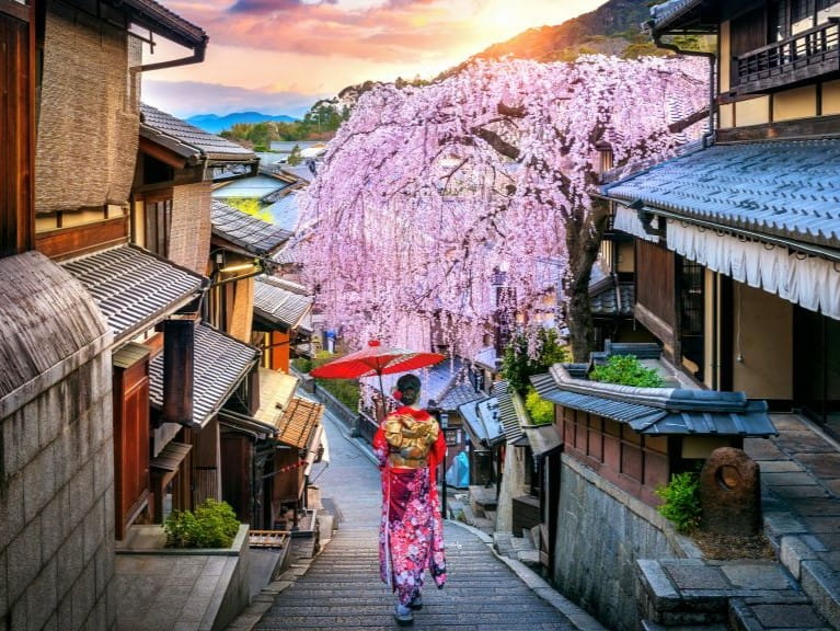 sakura in japan with a geisha at the forefront
