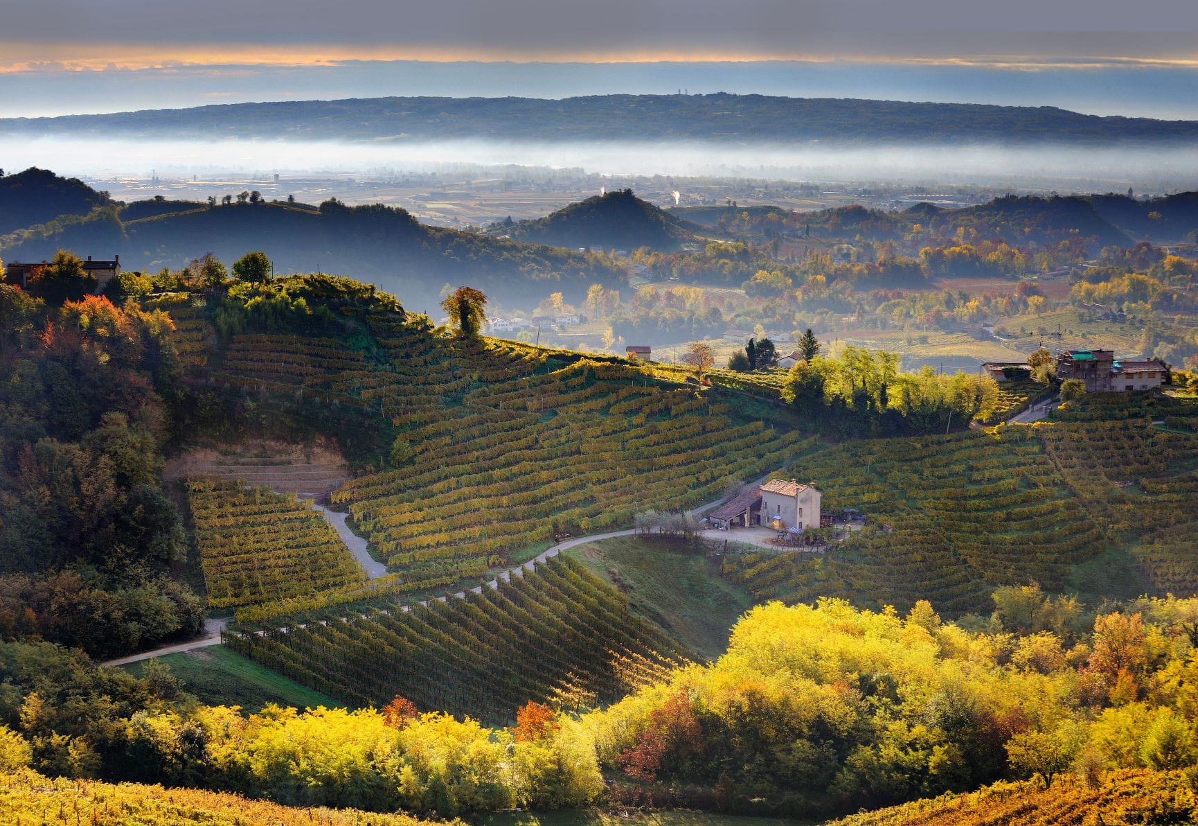 The famous hills of the Prosecco region