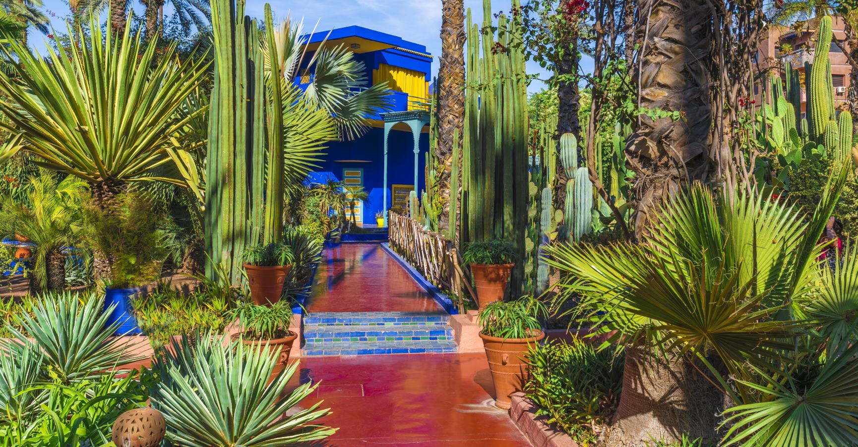 Marjorelle Garden in Morocco 