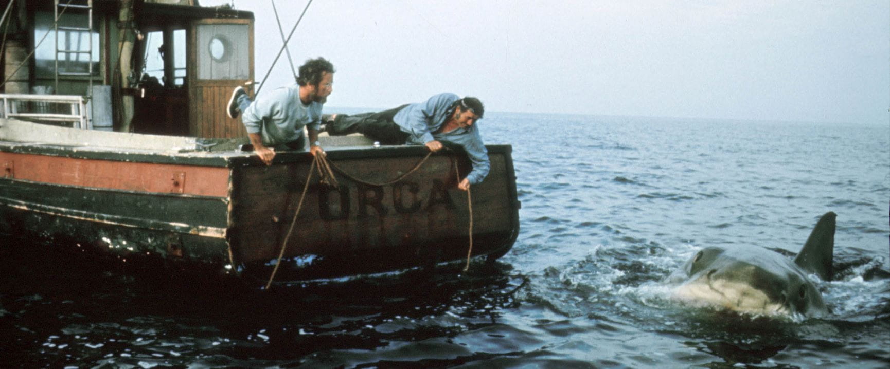 Characters leaning over the boat to Jaws