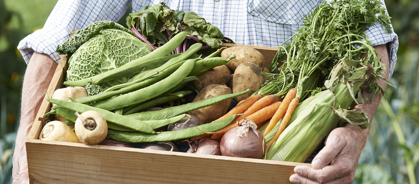 Box of veggies held by a person