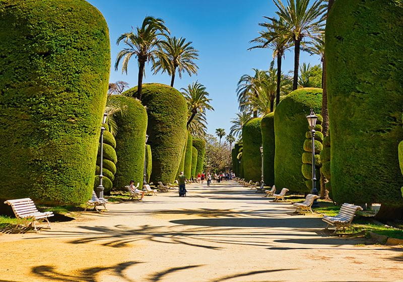 Parque Genovés in spring time