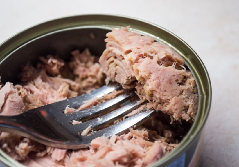 A tin of tuna with a fork in it