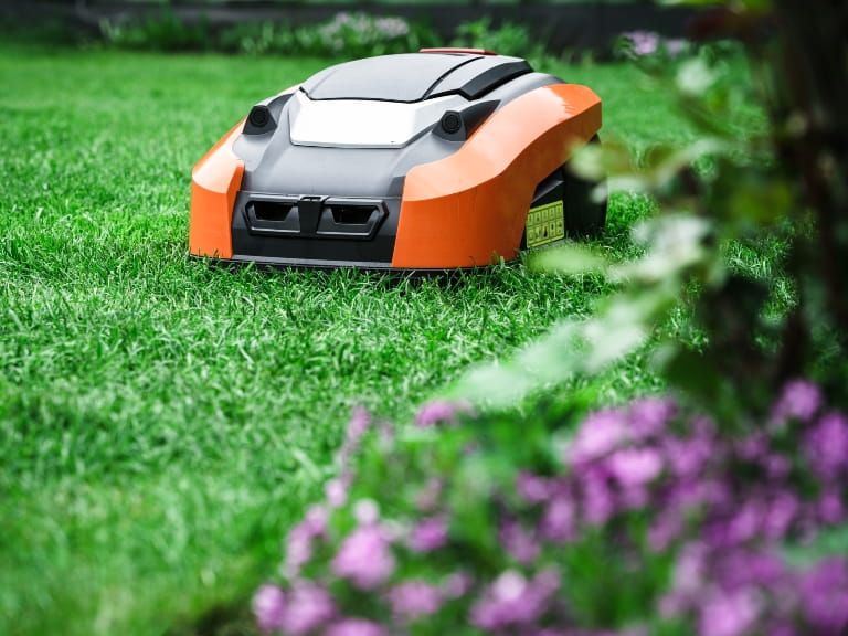 A robotic mower cutting the grass alongside a border of purple flowers